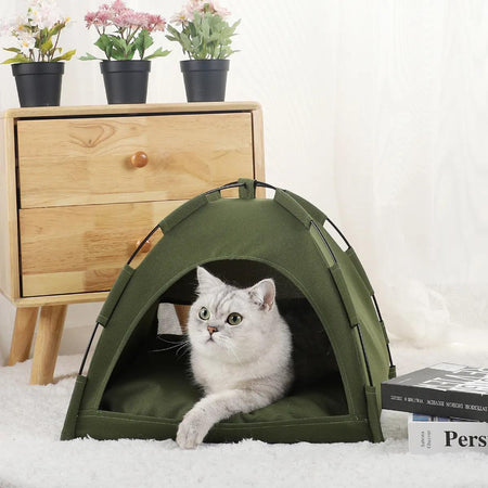 Cat Camping- A casa para seu pet aventureiro - redebombarato.com